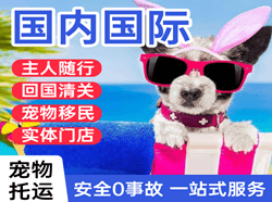 南宁空运国际宠物托运 【国